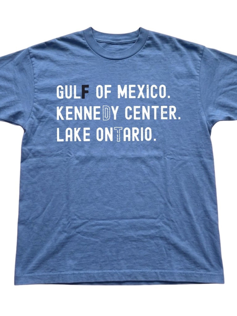 Gildan Blue Short Sleeve Graphic Tee with White Text, Gift For Her, For Him